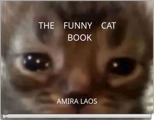 Front cover of 'THE FUNNY CAT BOOK' 