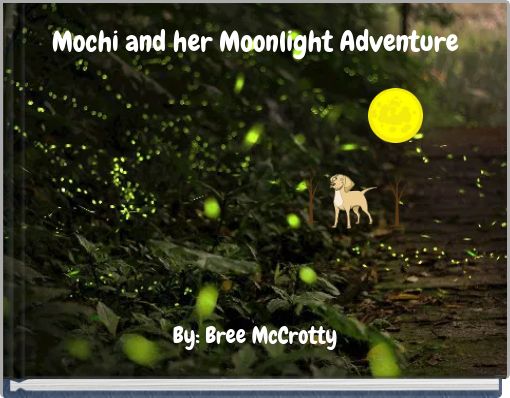 Mochi and her Moonlight Adventure