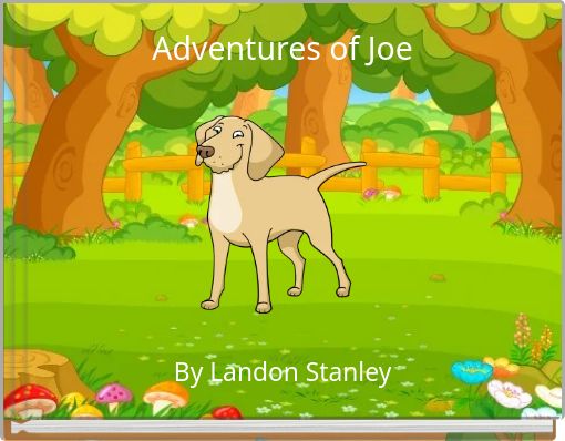 Adventures of Joe