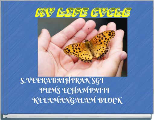 Book Cover for: MY LIFE CYCLE