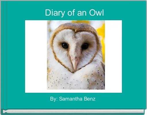 Front cover of ' Diary of an Owl' 