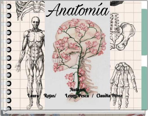Autores: Laura Rojas/ Lenny Pesca / Claudia P&eacute;rez