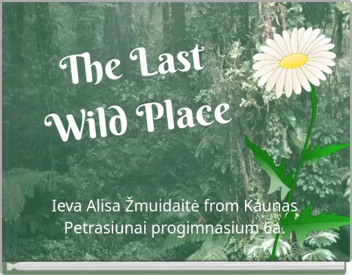 The Last Wild Place