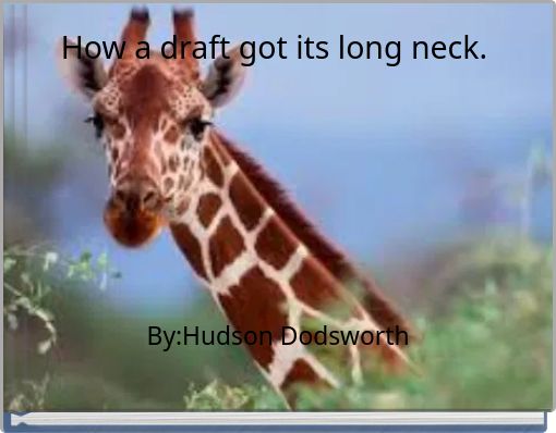 How a draft got its long neck.