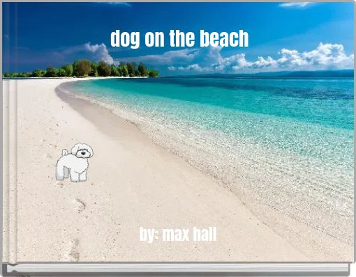 dog on the beach