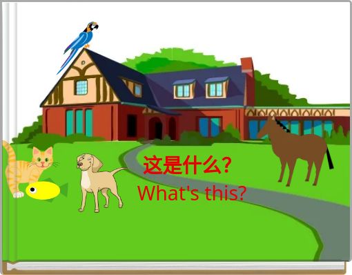 这是什么？ What's this?