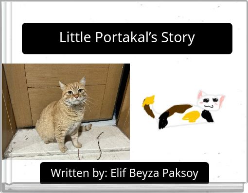 Little Portakal&rsquo;s Story
