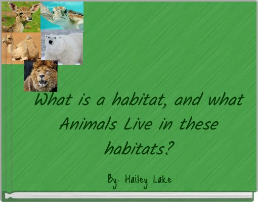 What is a habitat, and what Animals Live in these habitats?