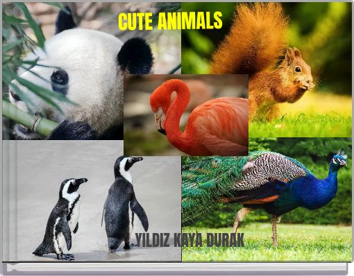 CUTE ANIMALS