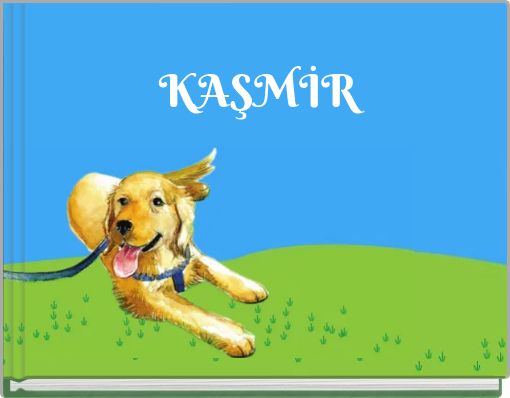 KAŞMİR