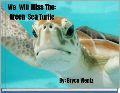 We Will Miss The: Green Sea Turtle