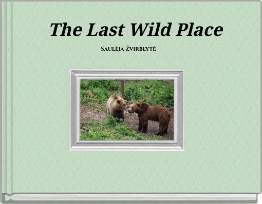 The Last Wild Place