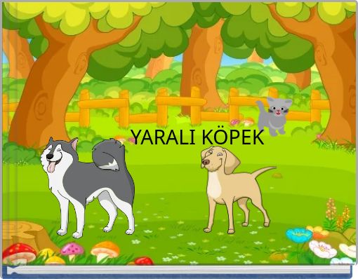 YARALI KÖPEK