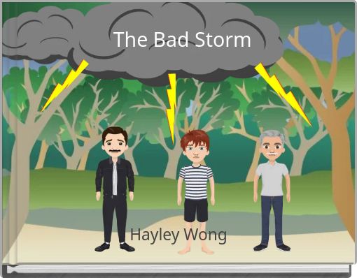 Book Cover for: The Bad Storm