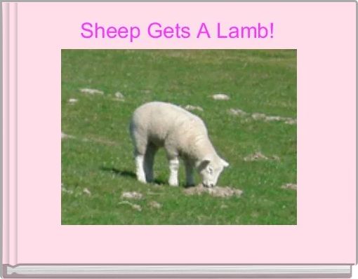 Sheep Gets A Lamb! 