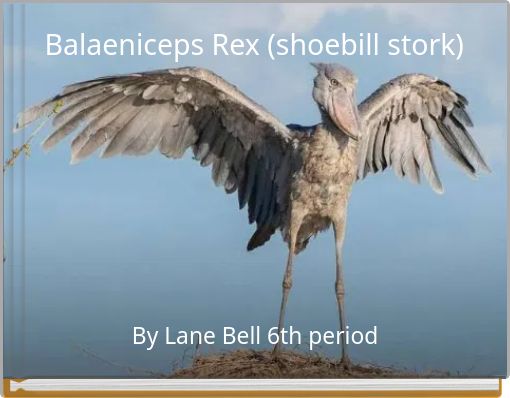 Front cover of 'Balaeniceps Rex (shoebill stork)' 