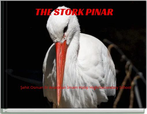 THE STORK PINAR