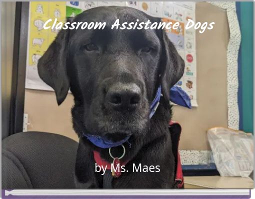 Classroom Assistance Dogs