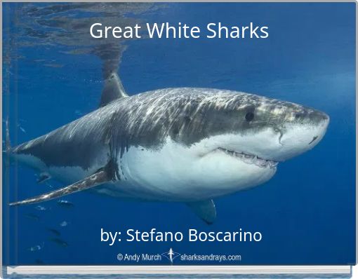 Great White Sharks