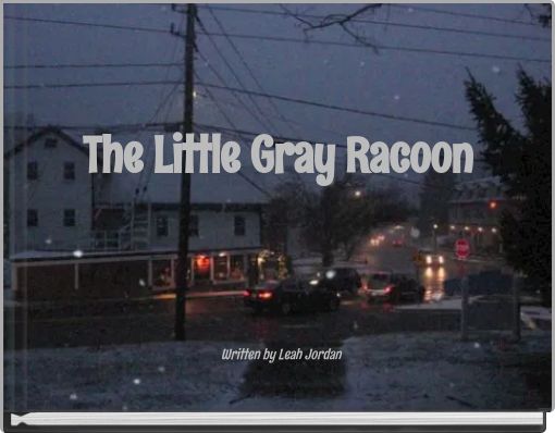 The Little Gray Racoon