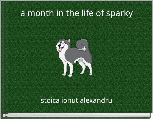 a month in the life of sparky