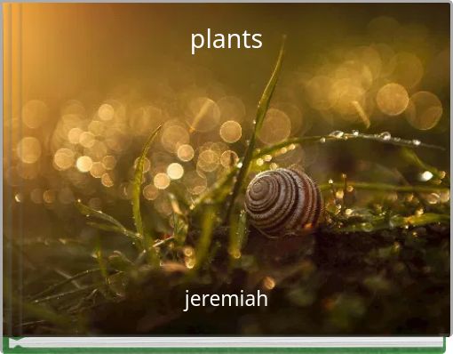 plants