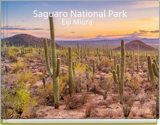 Saguaro National Park