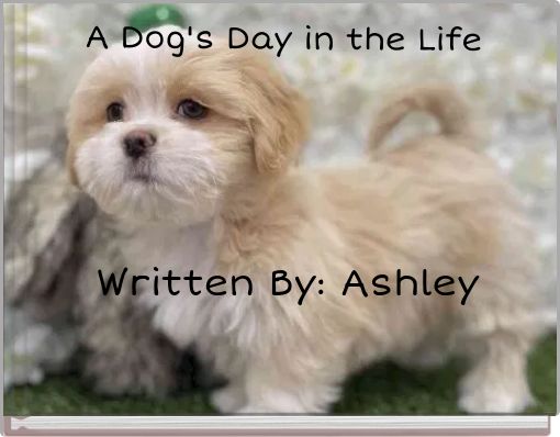 A Dog's Day in the Life