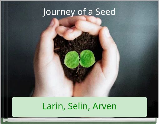 Journey of a Seed