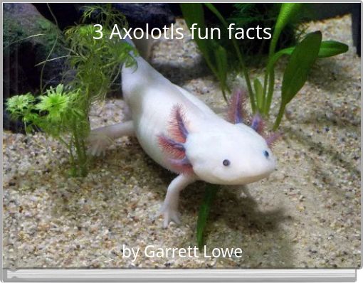 3 Axolotls fun facts