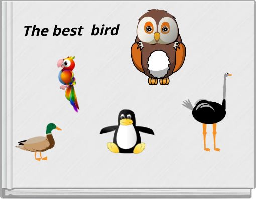 The best bird