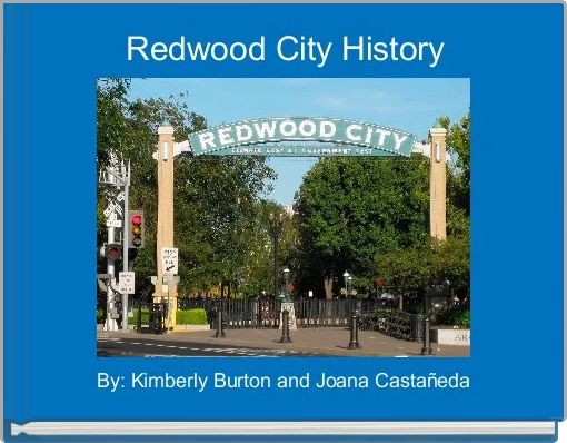 Book Cover for: Redwood City History