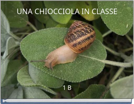 UNA CHIOCCIOLA IN CLASSE