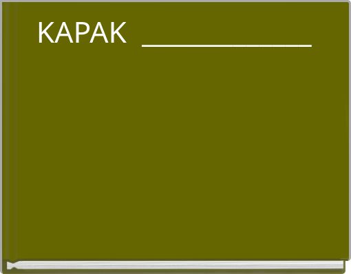 KAPAK _____________