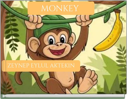 MONKEY