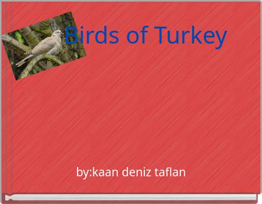 Birds of Turkey