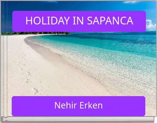 Front cover of 'HOLIDAY IN SAPANCA' 