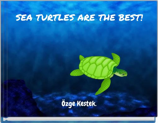 Front cover of 'SEA TURTLES ARE THE BEST!' 