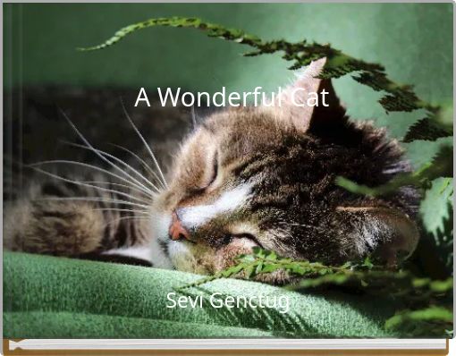 A Wonderful Cat