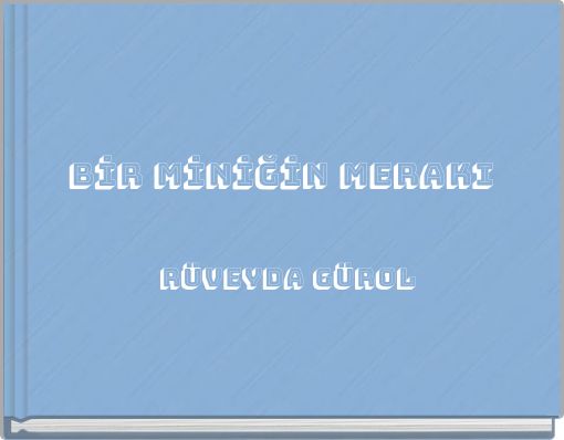 BİR MİNİĞİN MERAKI