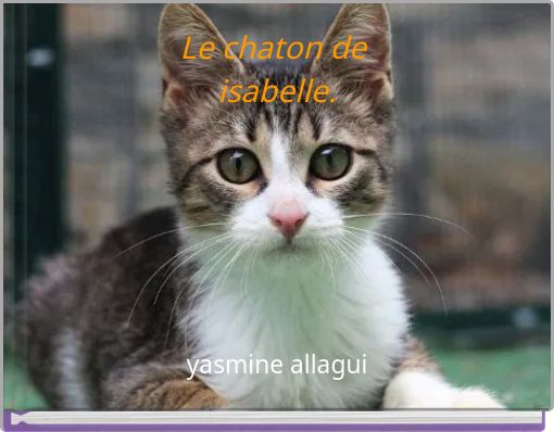 Le chaton de isabelle.