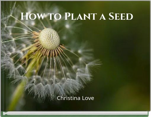 How to Plant a Seed