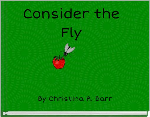 Consider the Fly