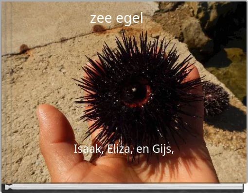 zee egel