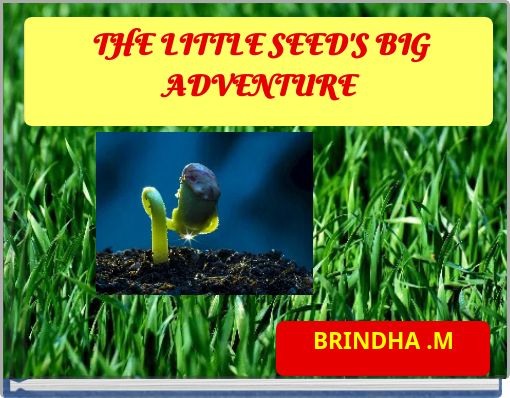 THE LITTLE SEED'S BIG ADVENTURE
