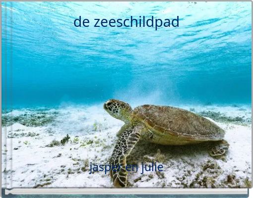 de zeeschildpad