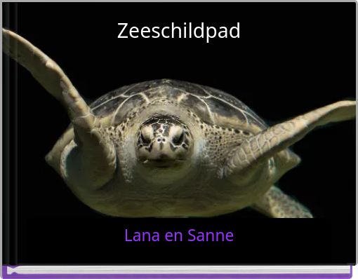 Zeeschildpad