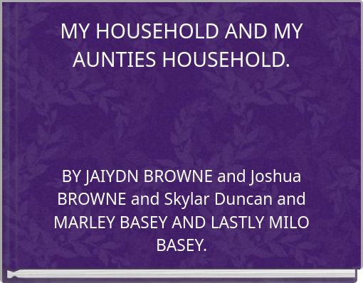 MY HOUSEHOLD AND MY AUNTIES HOUSEHOLD.