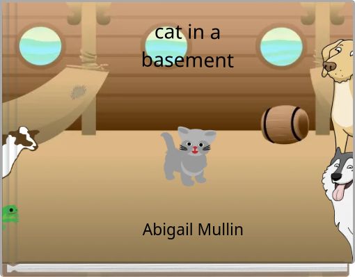cat in a basement