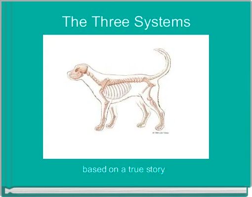 The Three Systems